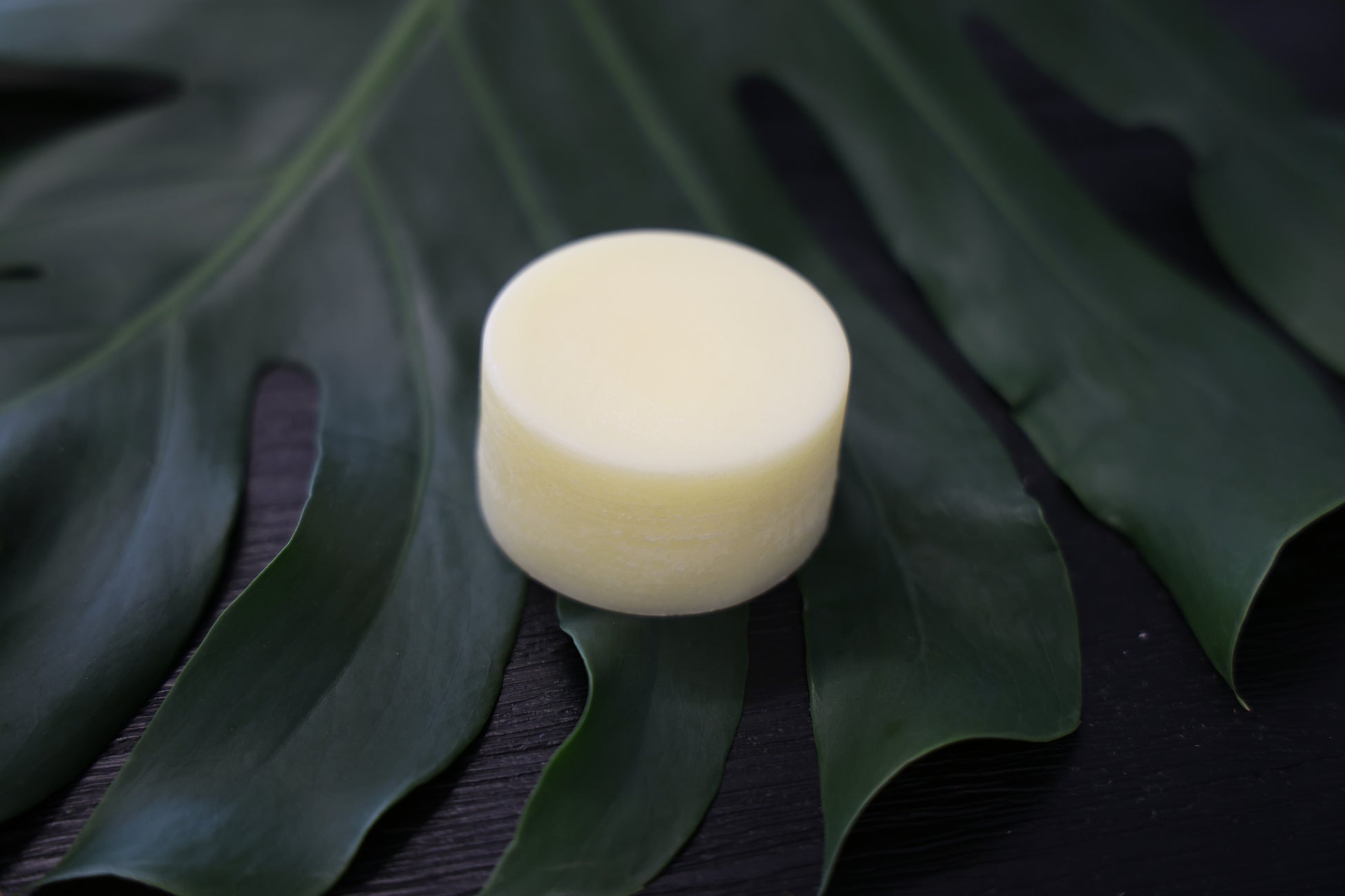 Harakeke and Sweet Orange Conditioner Bar by Still Milly